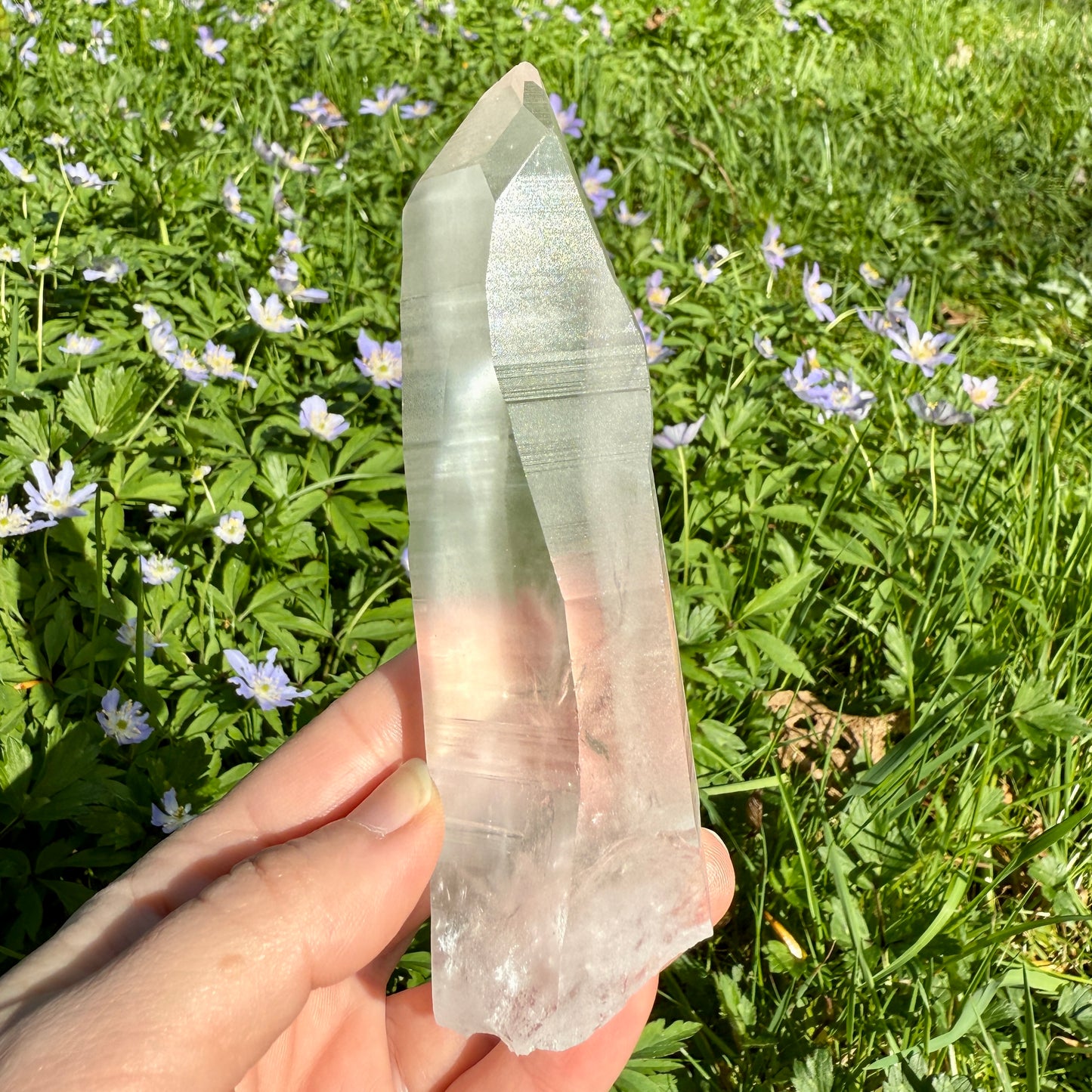 Lemurian Quartz Crystal with Future Time-Link Portal