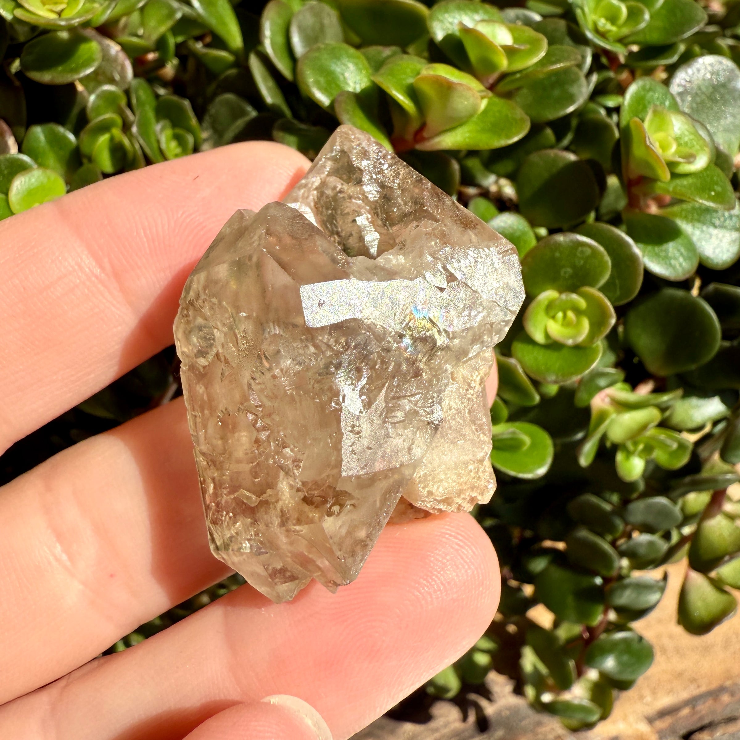 Elestial Smoky Quartz Crystal