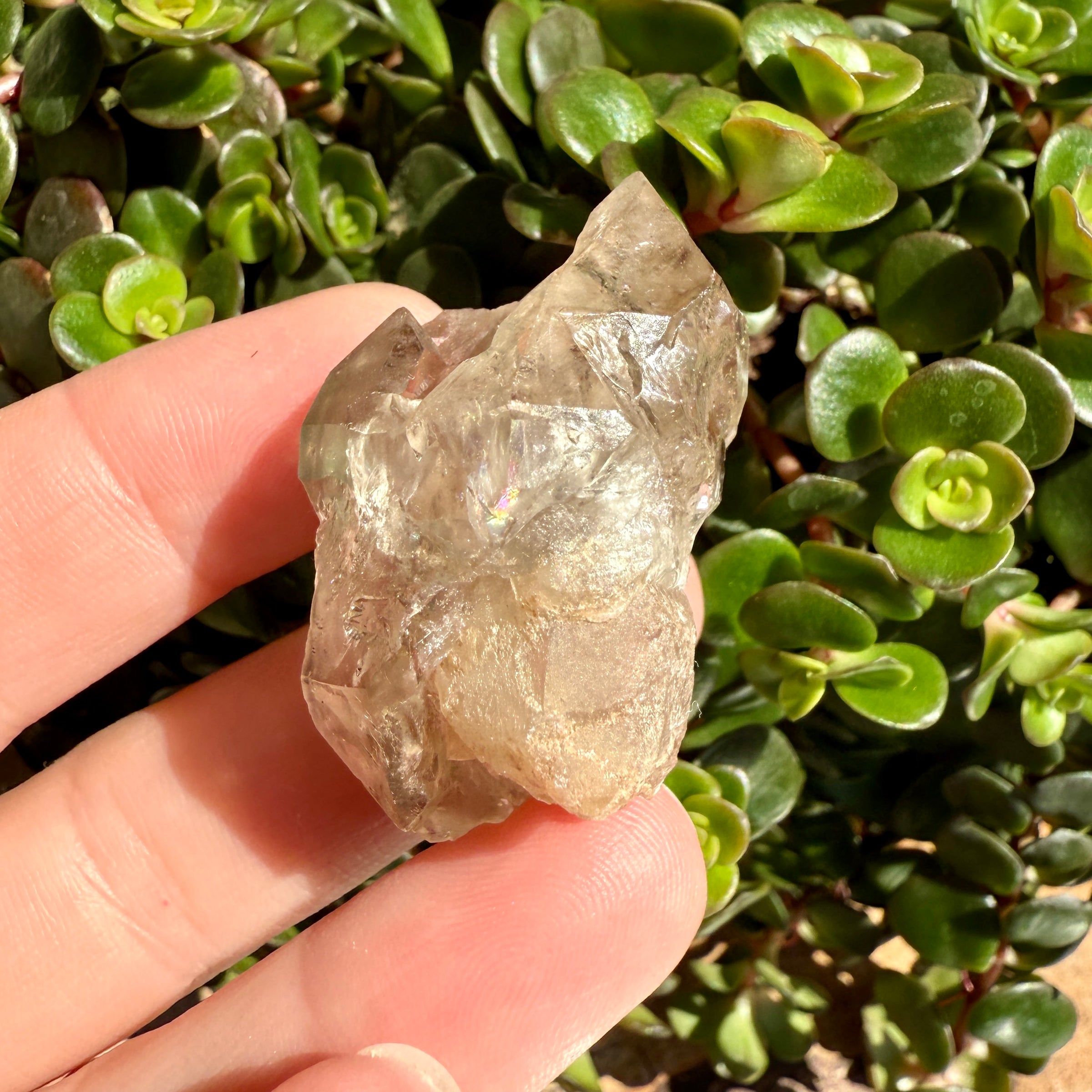Elestial Smoky Quartz Crystal