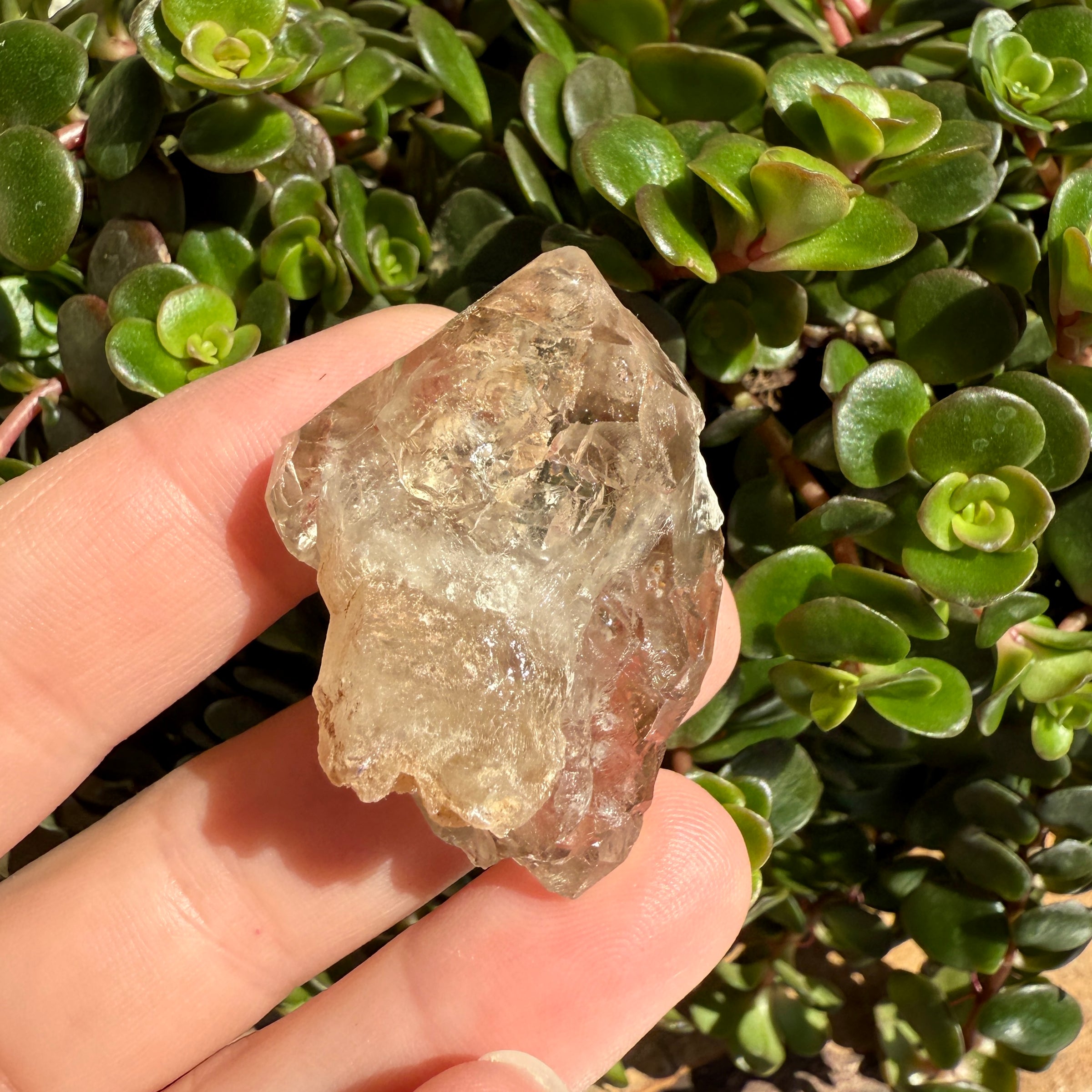 Elestial Smoky Quartz Crystal