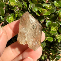 Elestial Smoky Quartz Crystal