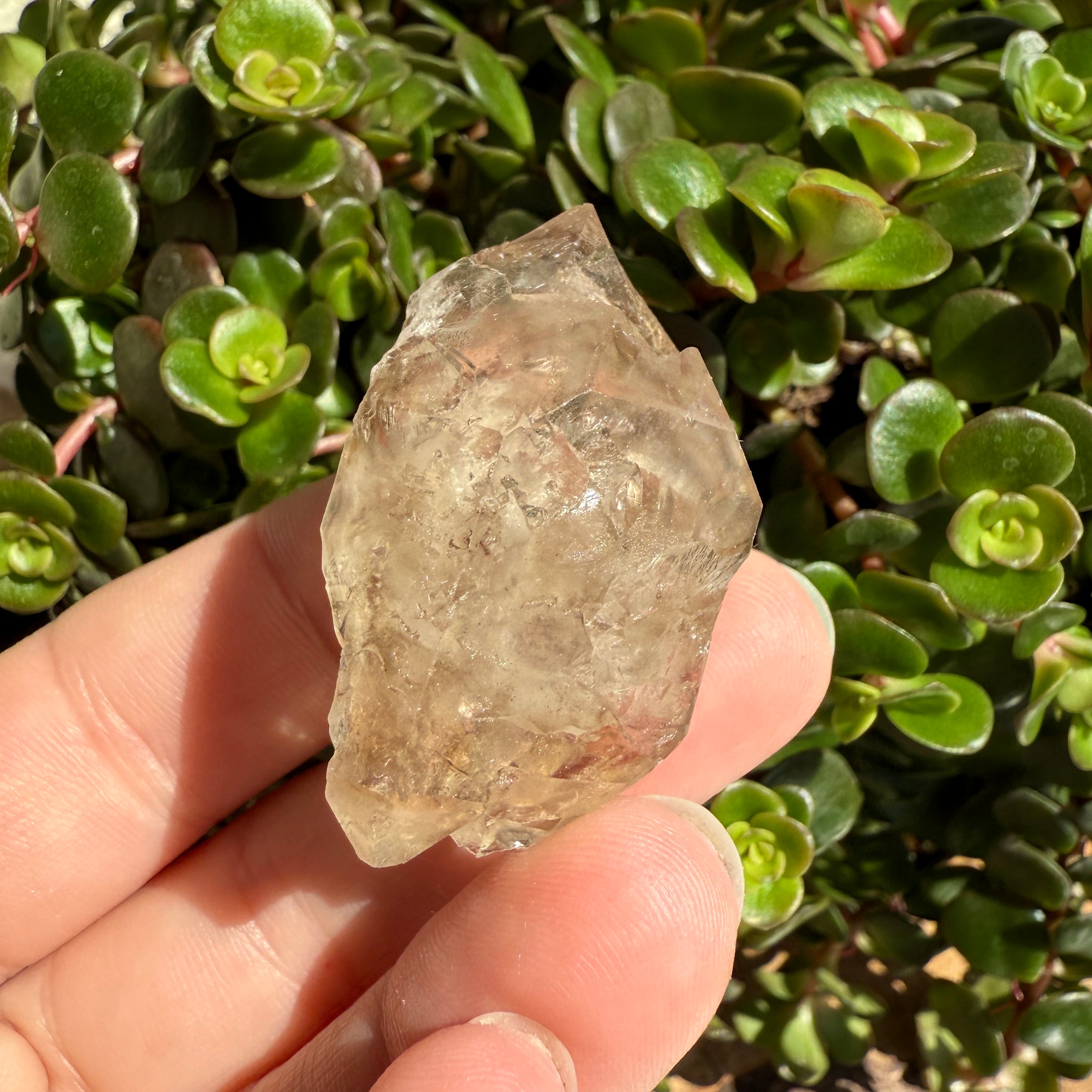 Elestial Smoky Quartz Crystal
