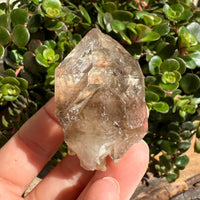 Elestial Smoky Quartz Crystal