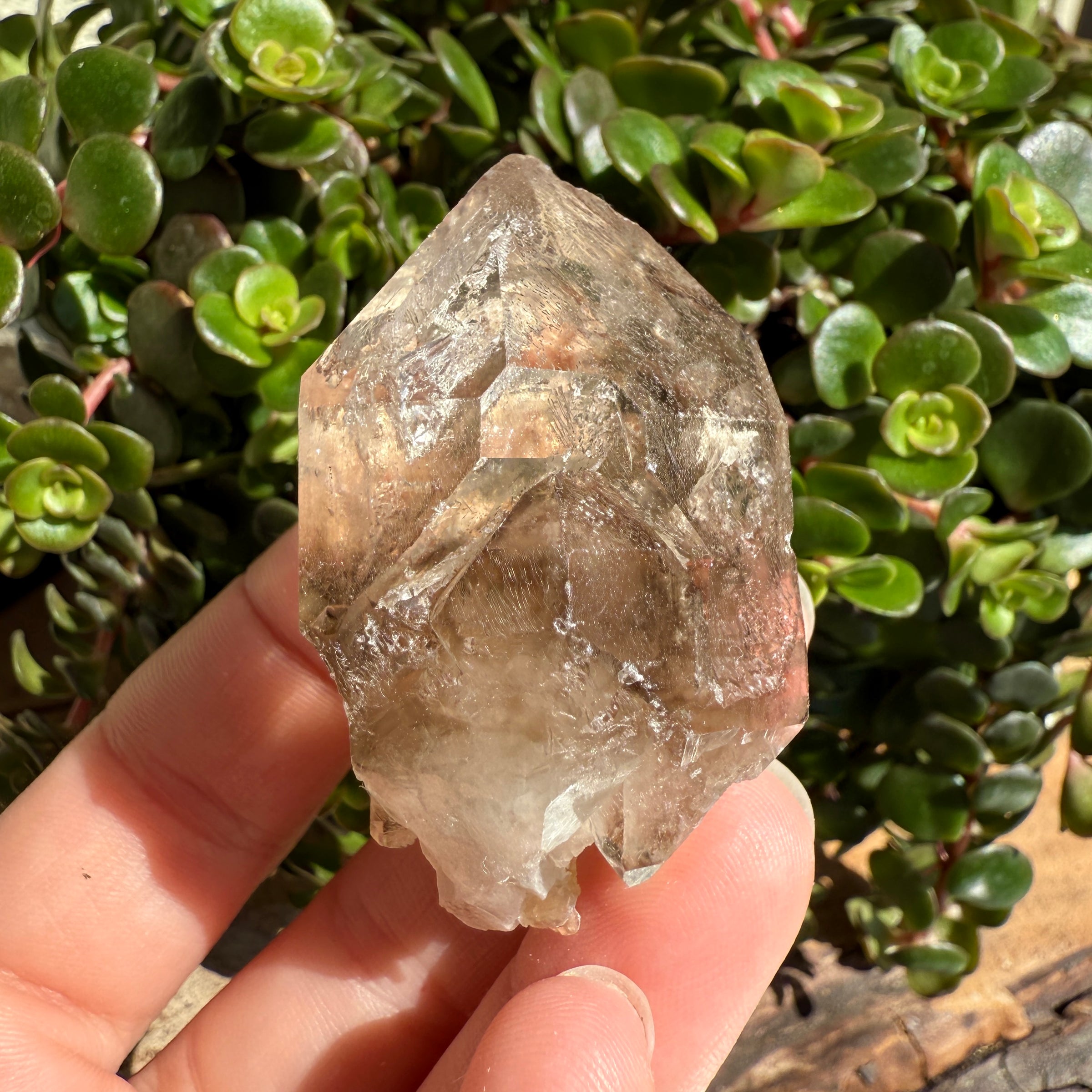 Elestial Smoky Quartz Crystal