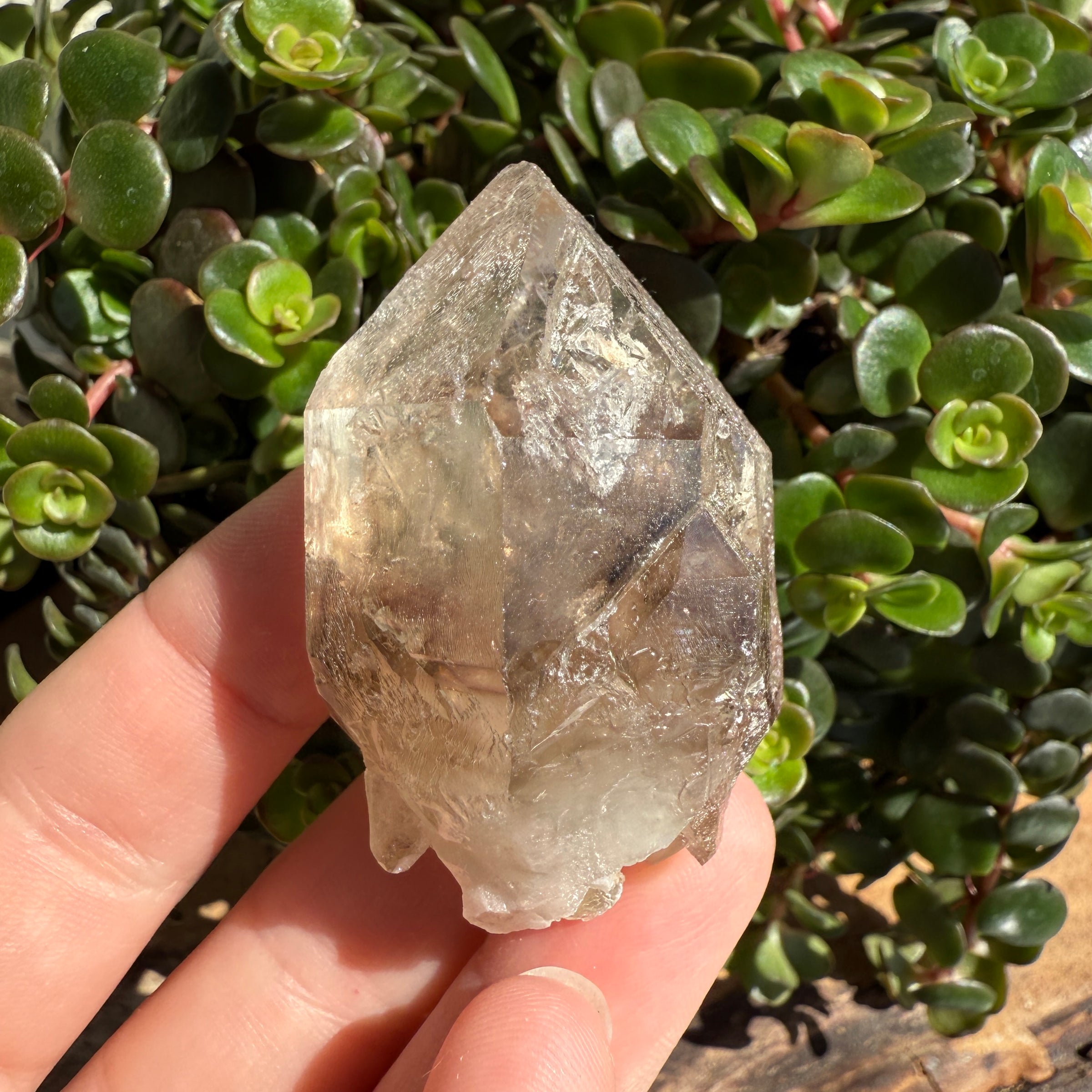 Elestial Smoky Quartz Crystal