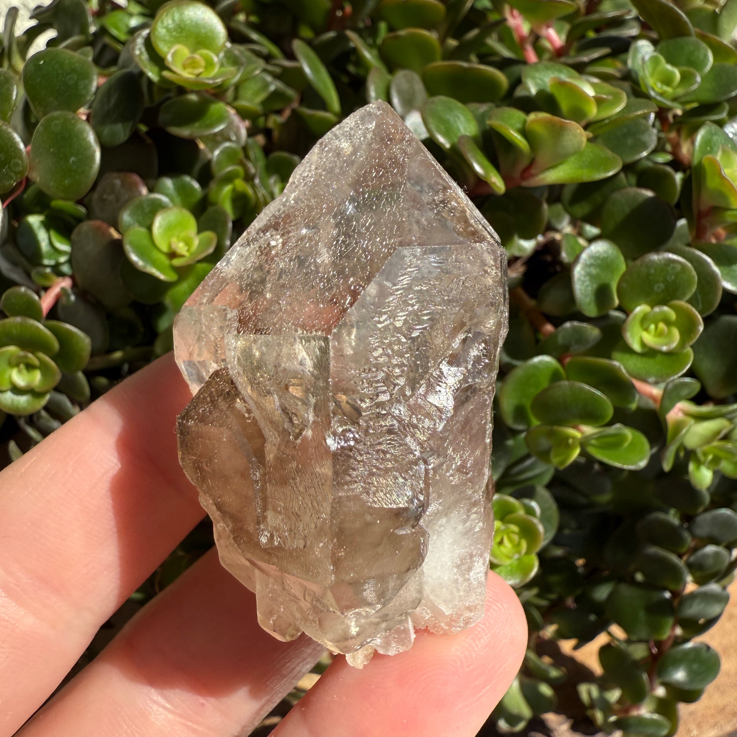 Elestial Smoky Quartz Crystal