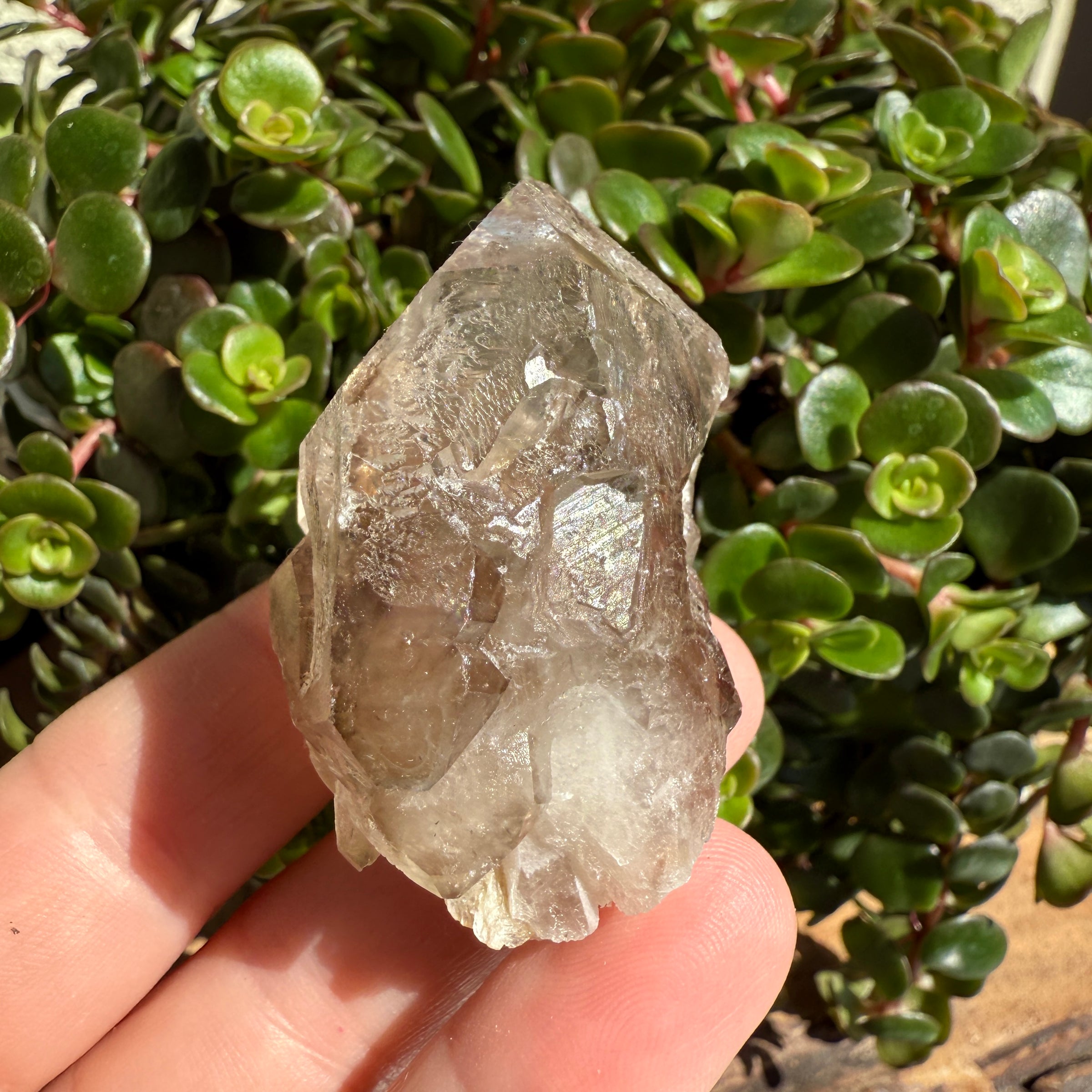 Elestial Smoky Quartz Crystal