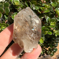 Elestial Smoky Quartz Crystal
