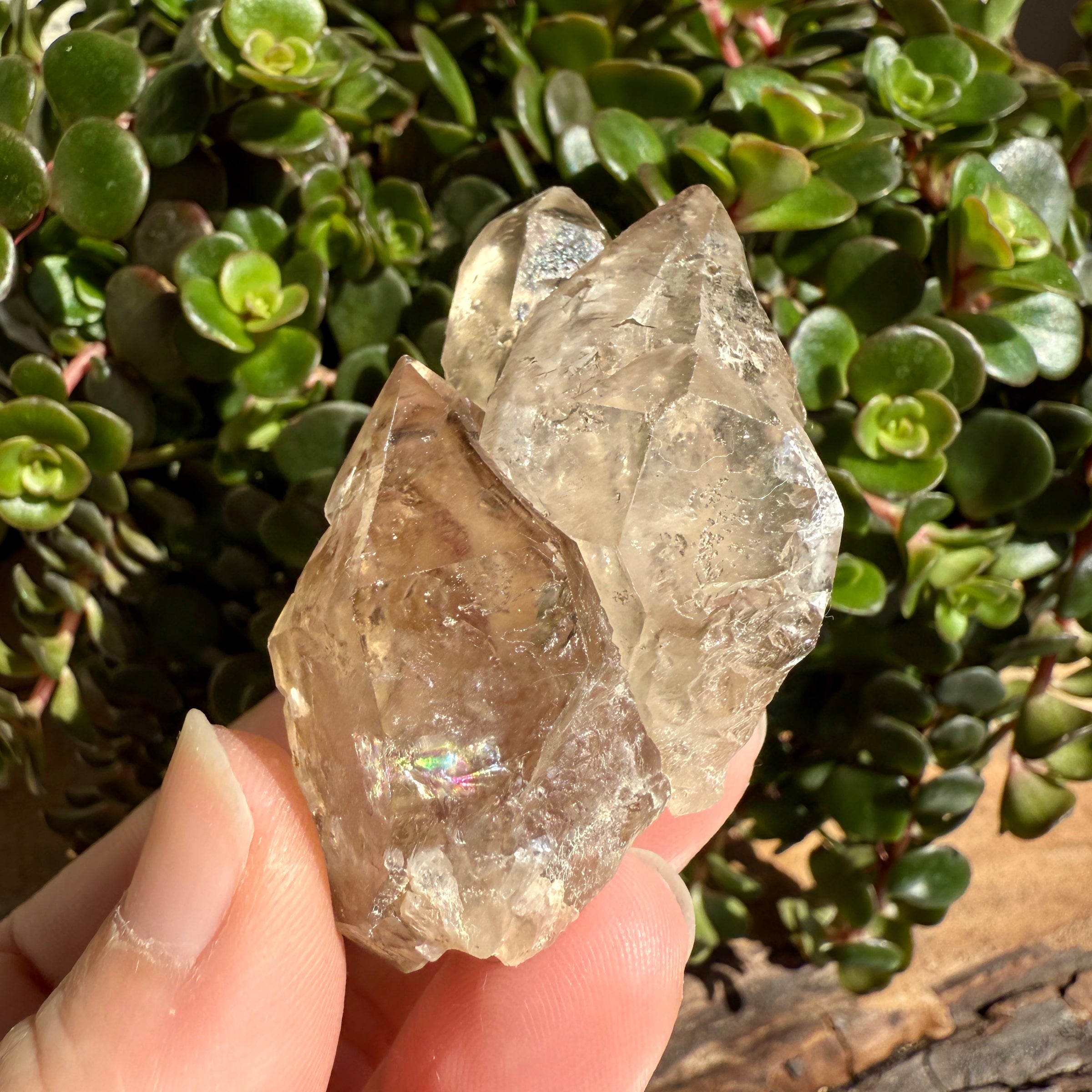 Elestial Smoky Quartz Crystal