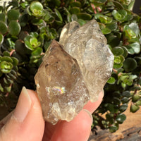 Elestial Smoky Quartz Crystal