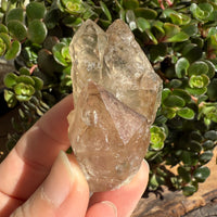 Elestial Smoky Quartz Crystal