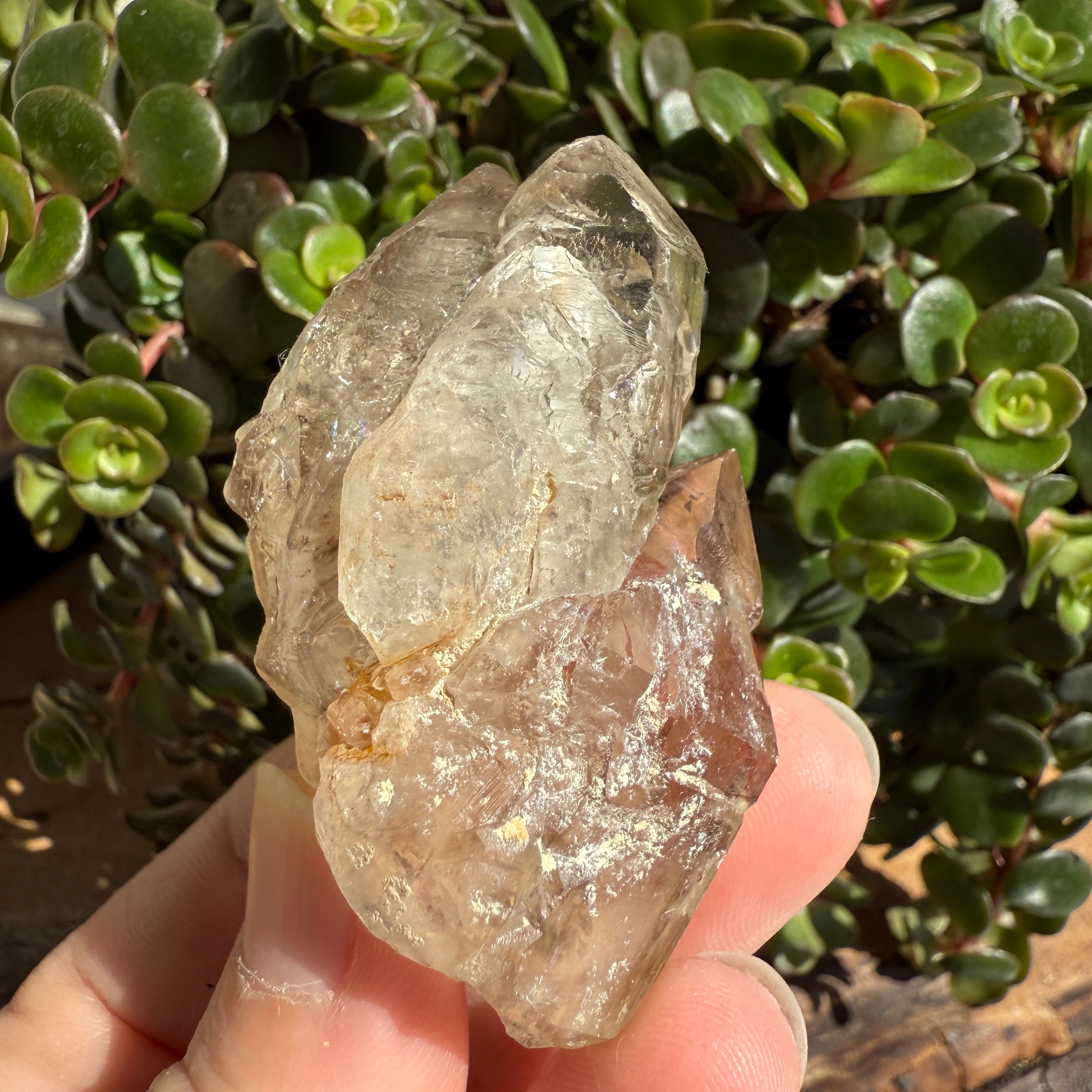 Elestial Smoky Quartz Crystal