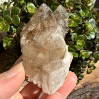Elestial Smoky Quartz Crystal