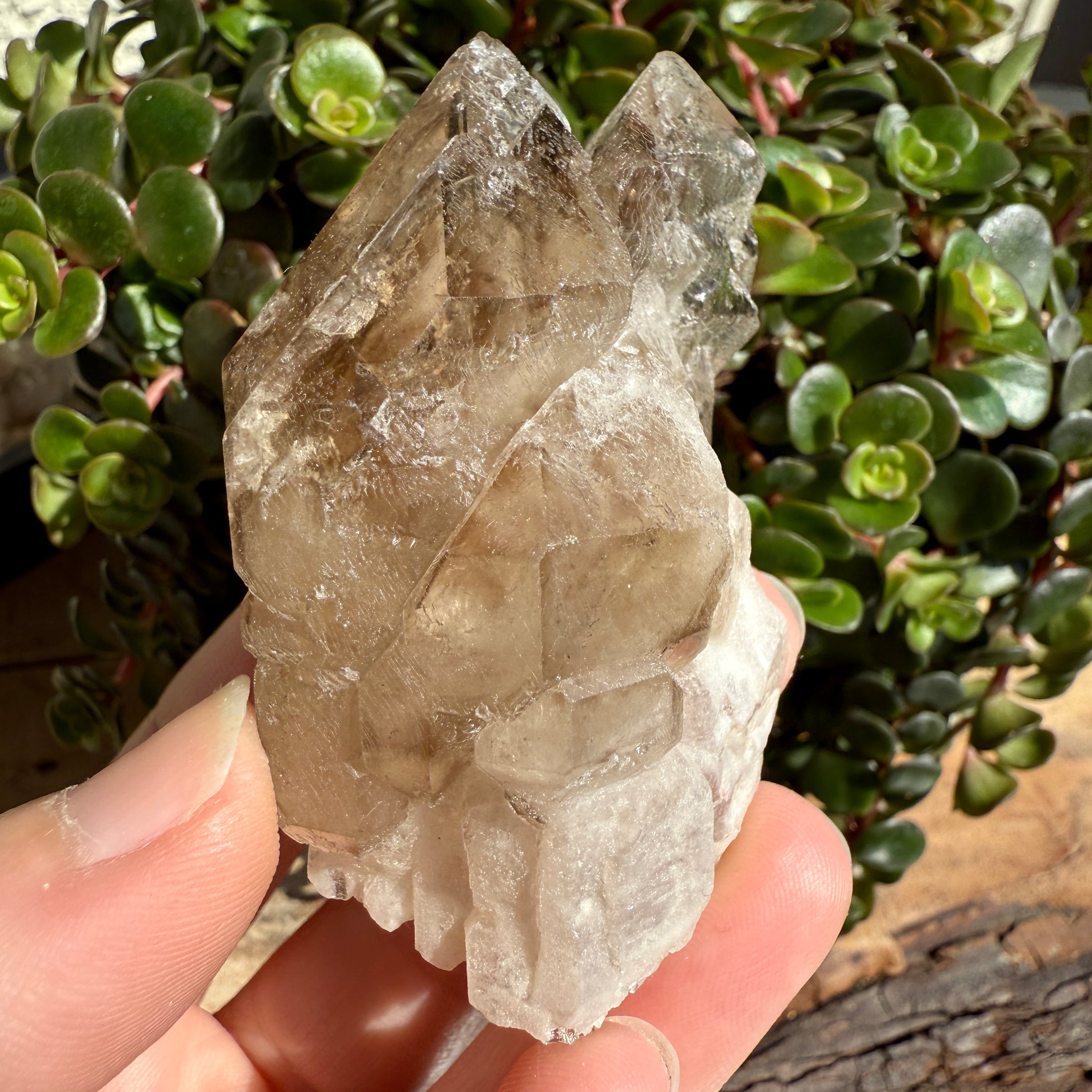 Elestial Smoky Quartz Crystal
