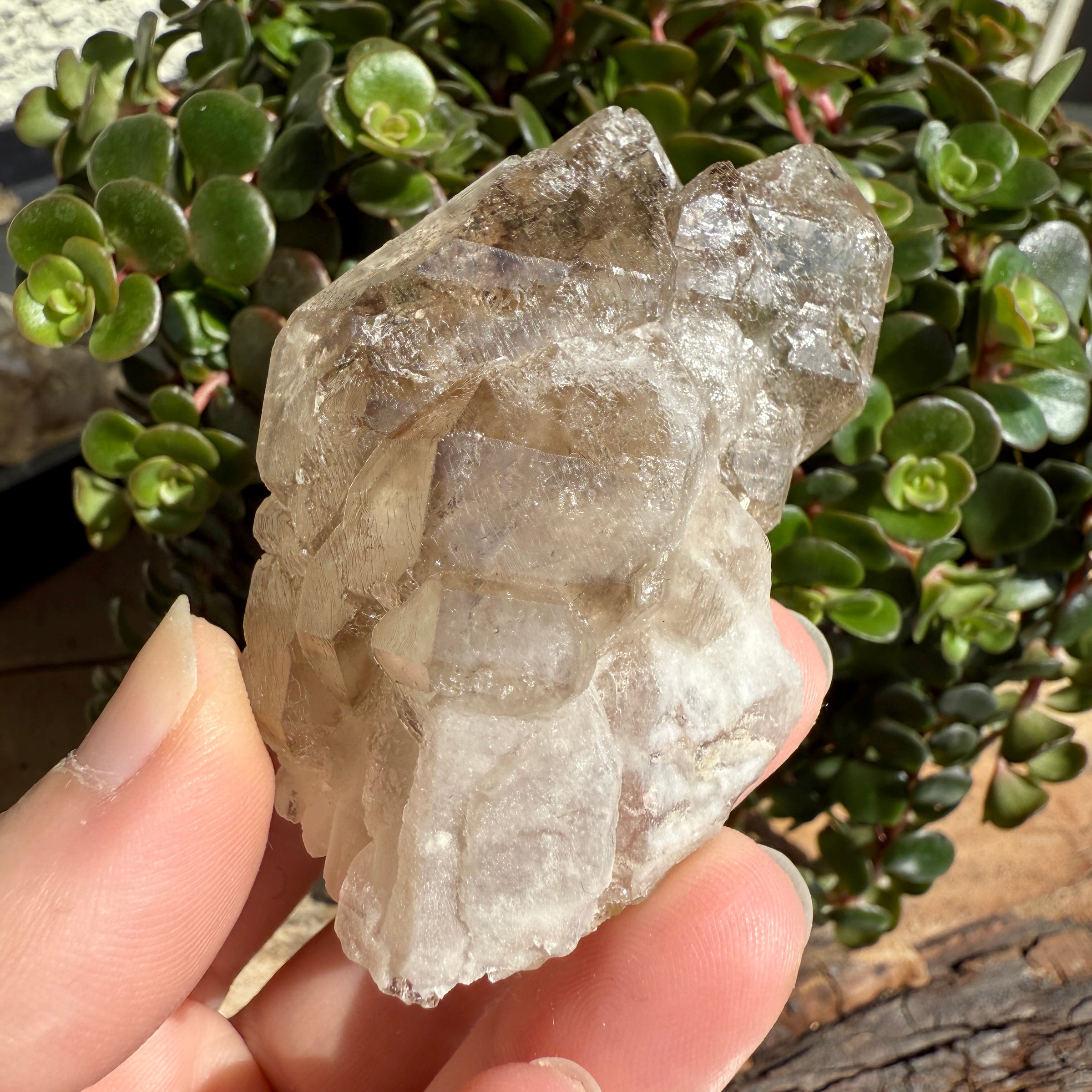 Elestial Smoky Quartz Crystal