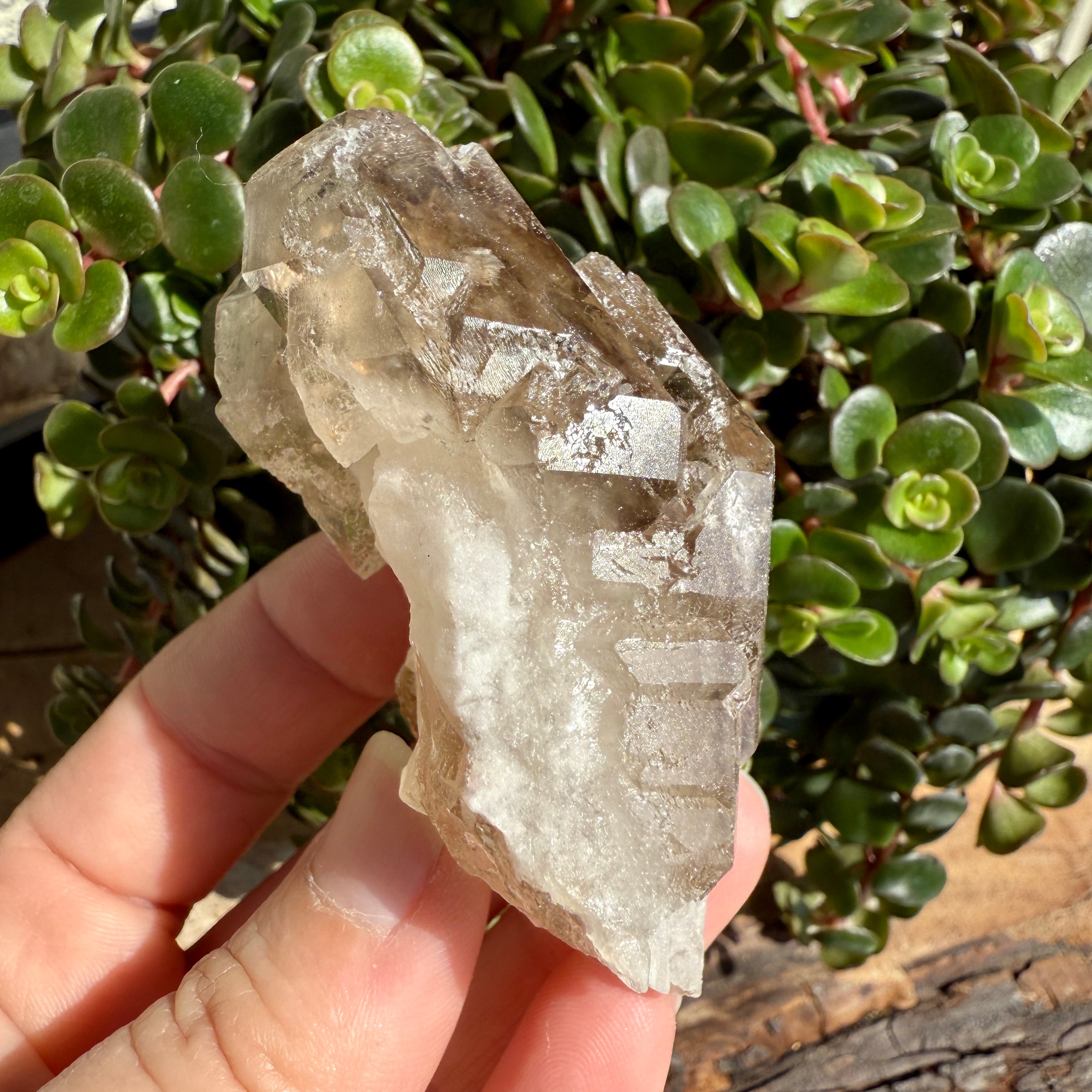 Elestial Smoky Quartz Crystal