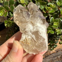 Elestial Smoky Quartz Crystal