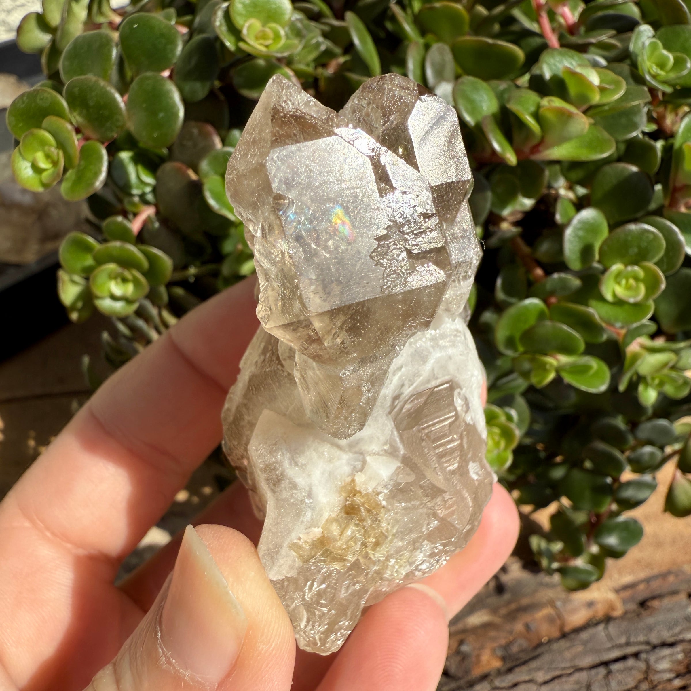 Elestial Smoky Quartz Crystal