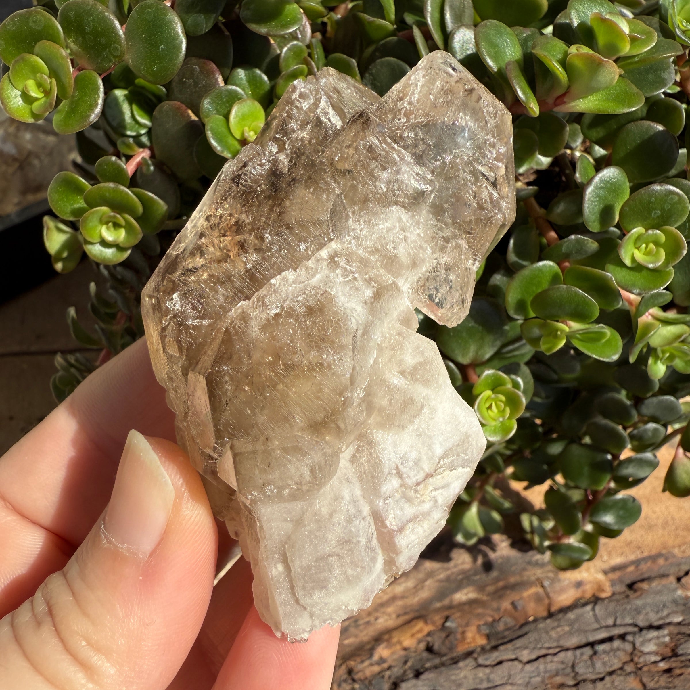 Elestial Smoky Quartz Crystal