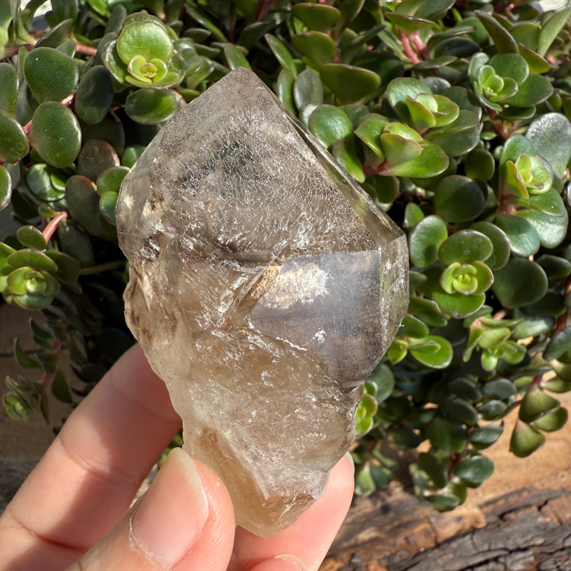 Elestial Smoky Quartz Crystal