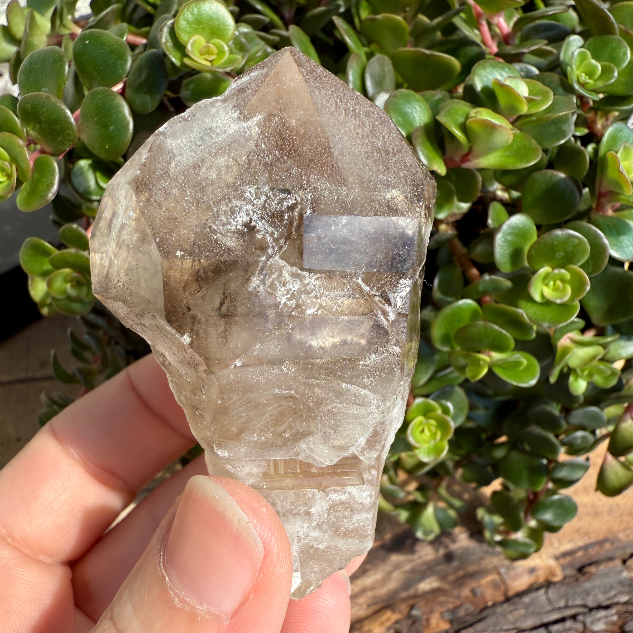 Elestial Smoky Quartz Crystal