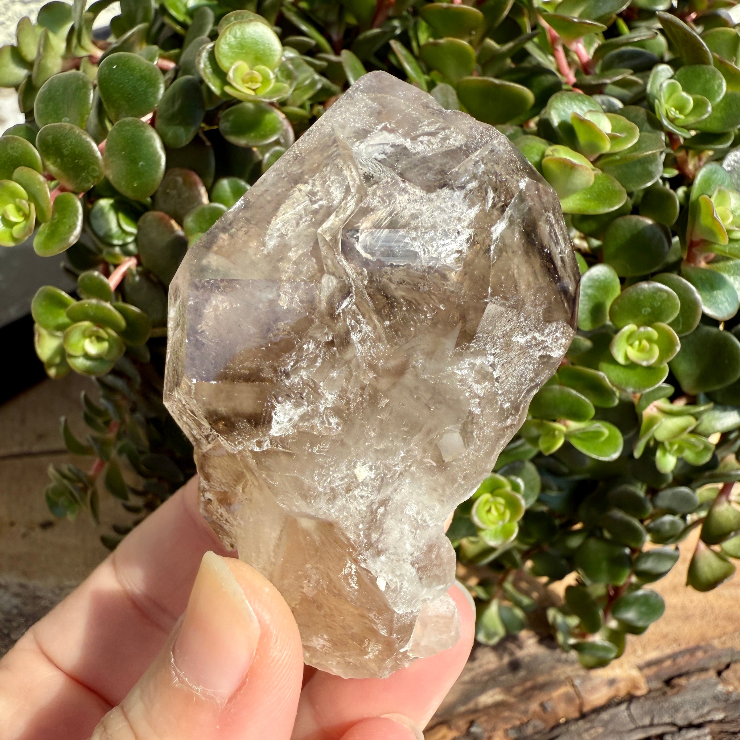 Elestial Smoky Quartz Crystal