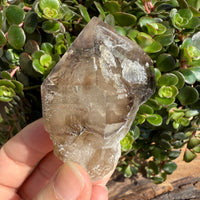 Elestial Smoky Quartz Crystal