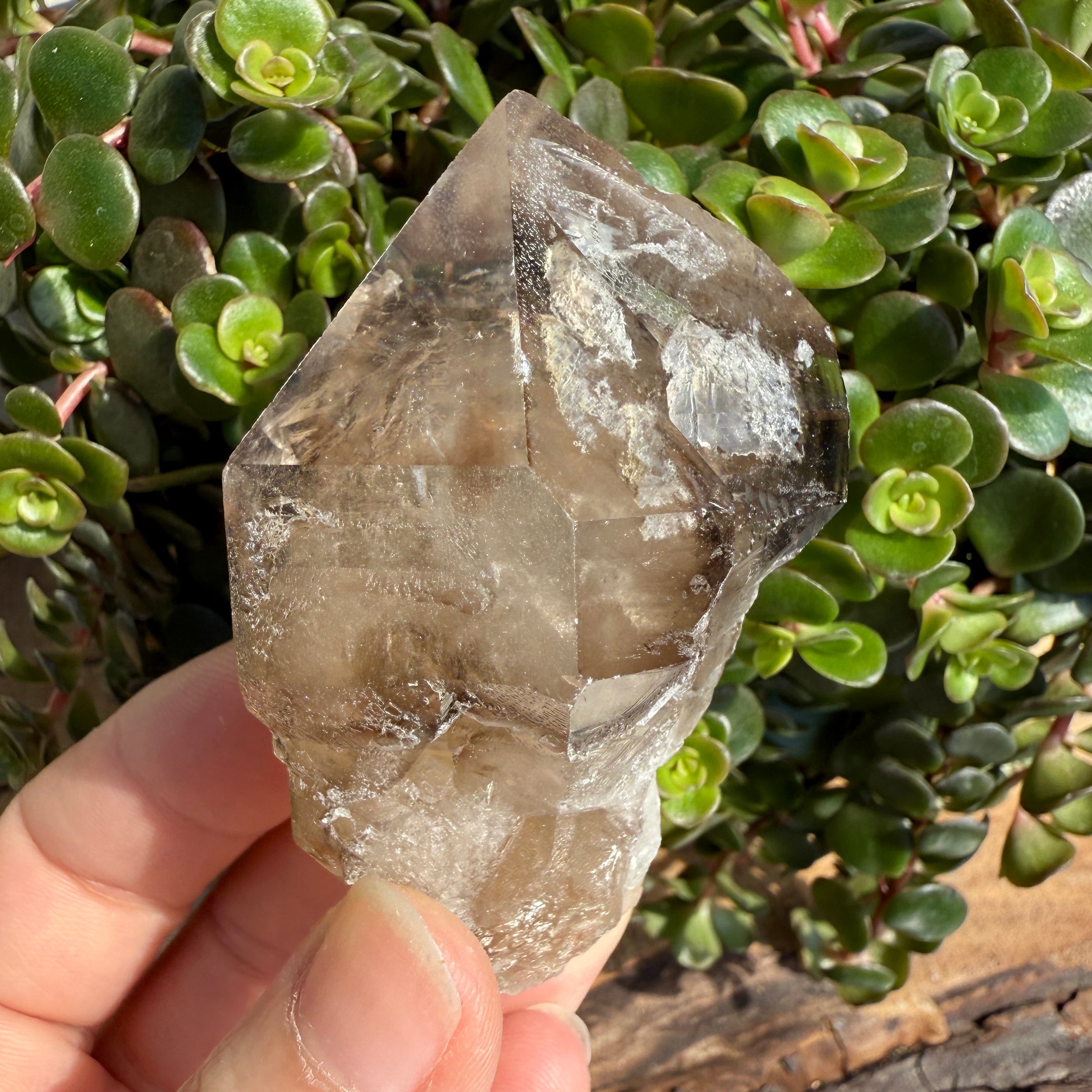 Elestial Smoky Quartz Crystal