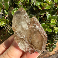 Elestial Smoky Quartz Crystal