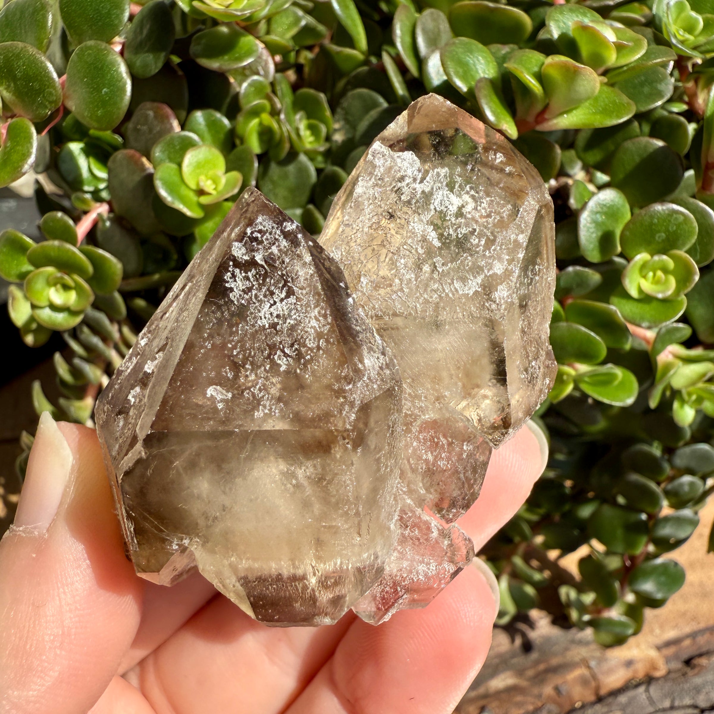 Elestial Smoky Quartz Crystal