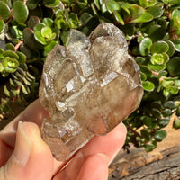 Elestial Smoky Quartz Crystal