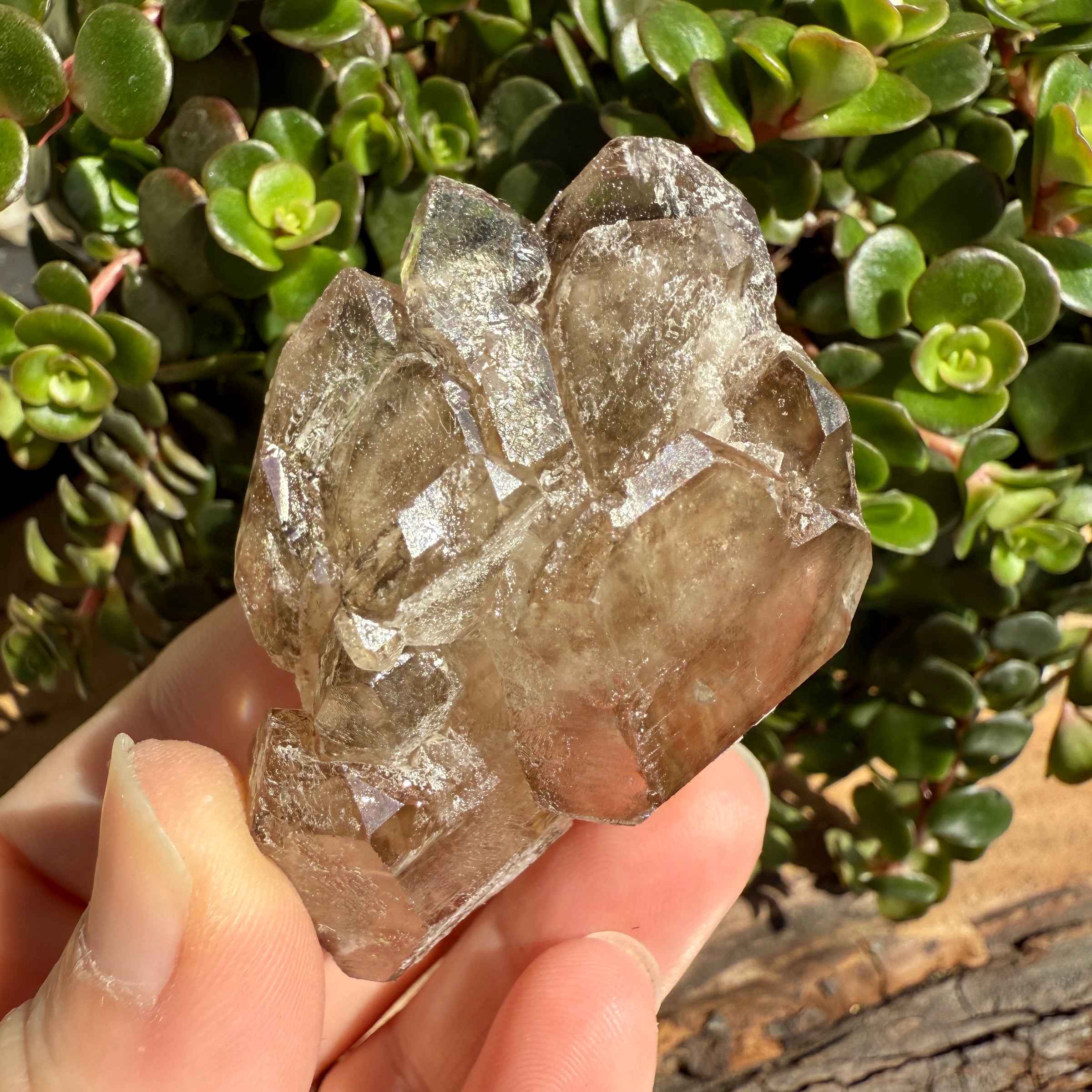 Elestial Smoky Quartz Crystal