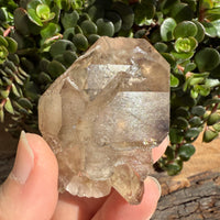 Elestial Smoky Quartz Crystal