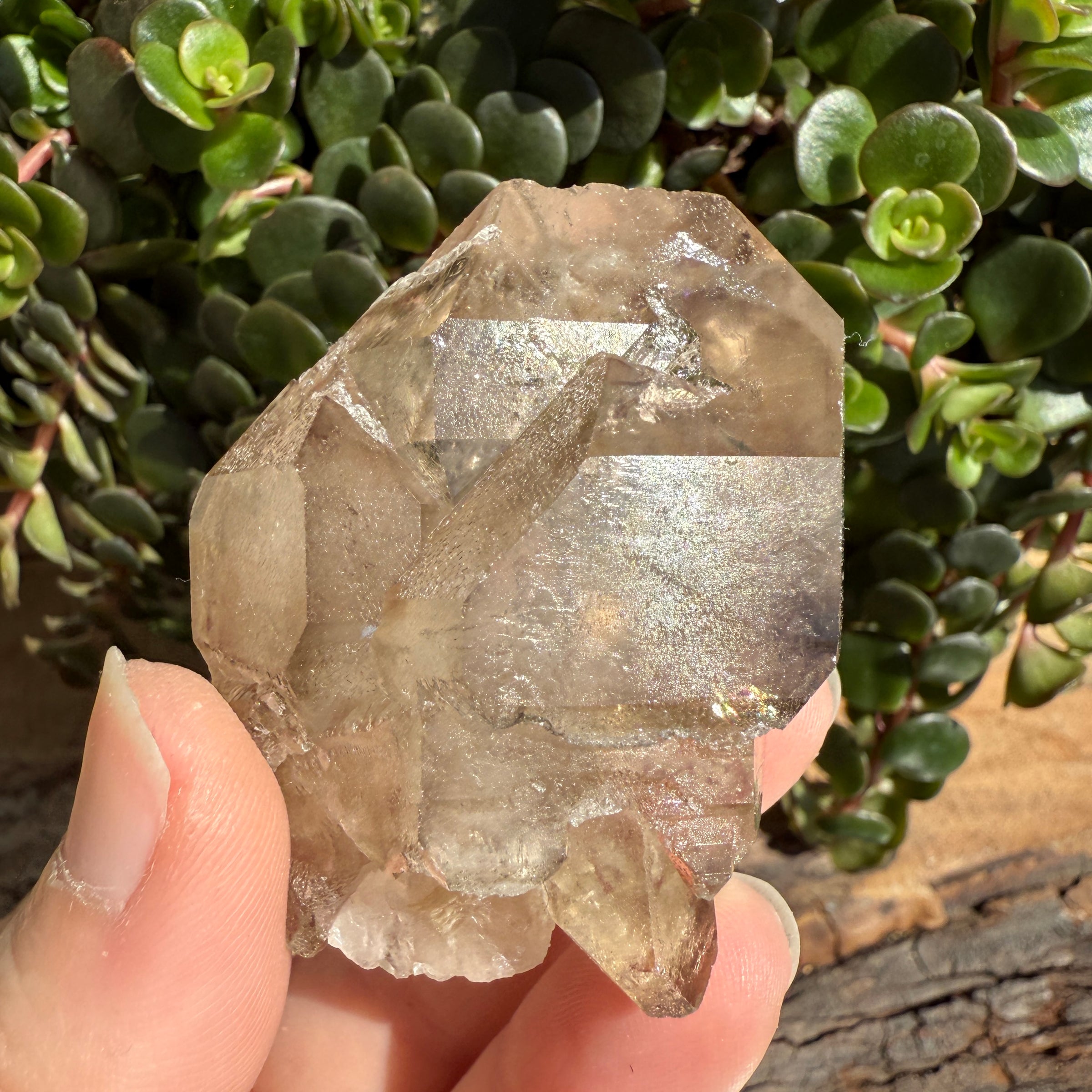 Elestial Smoky Quartz Crystal