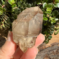 Elestial Smoky Quartz Crystal