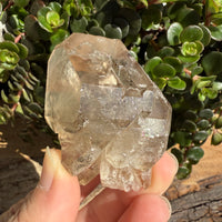 Elestial Smoky Quartz Crystal