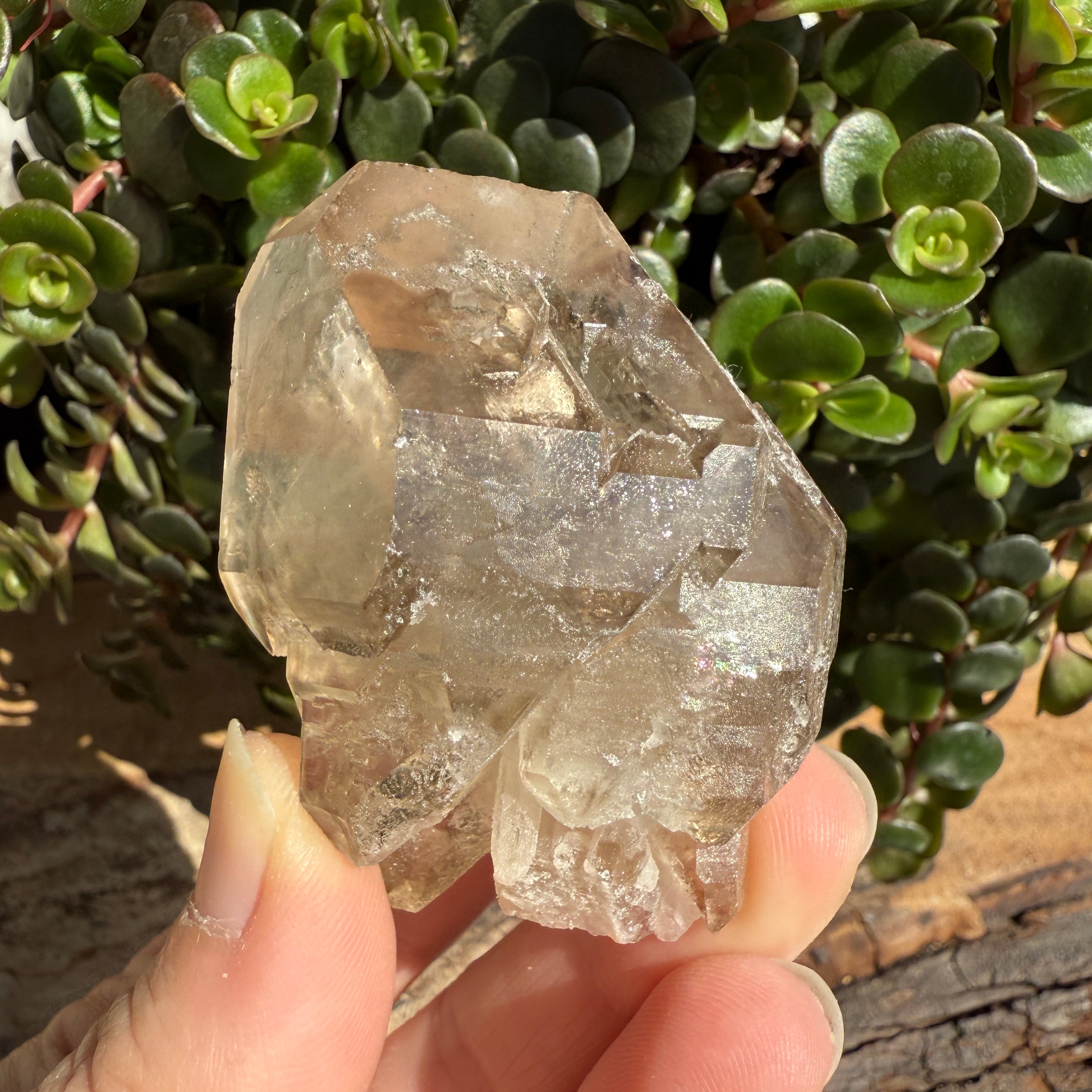 Elestial Smoky Quartz Crystal