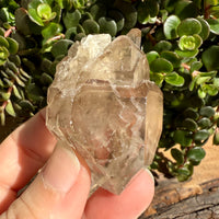 Elestial Smoky Quartz Crystal