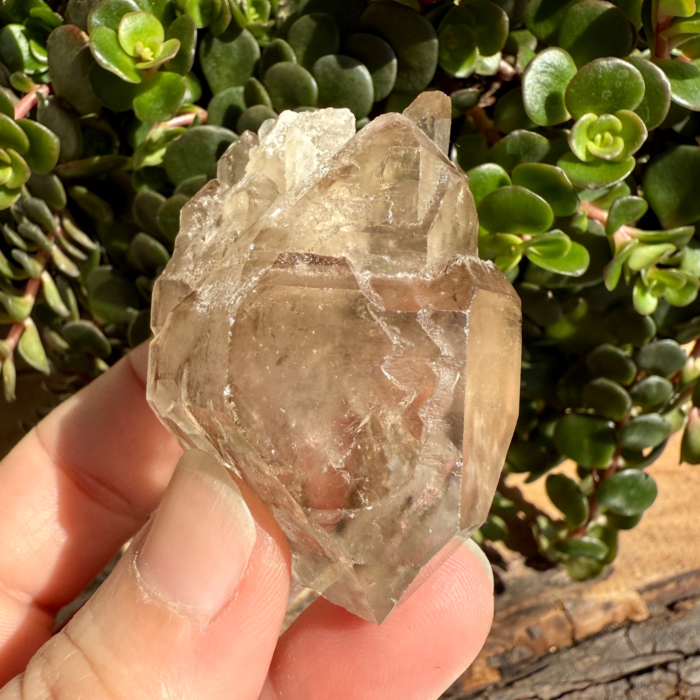 Elestial Smoky Quartz Crystal