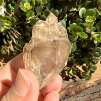 Elestial Smoky Quartz Crystal