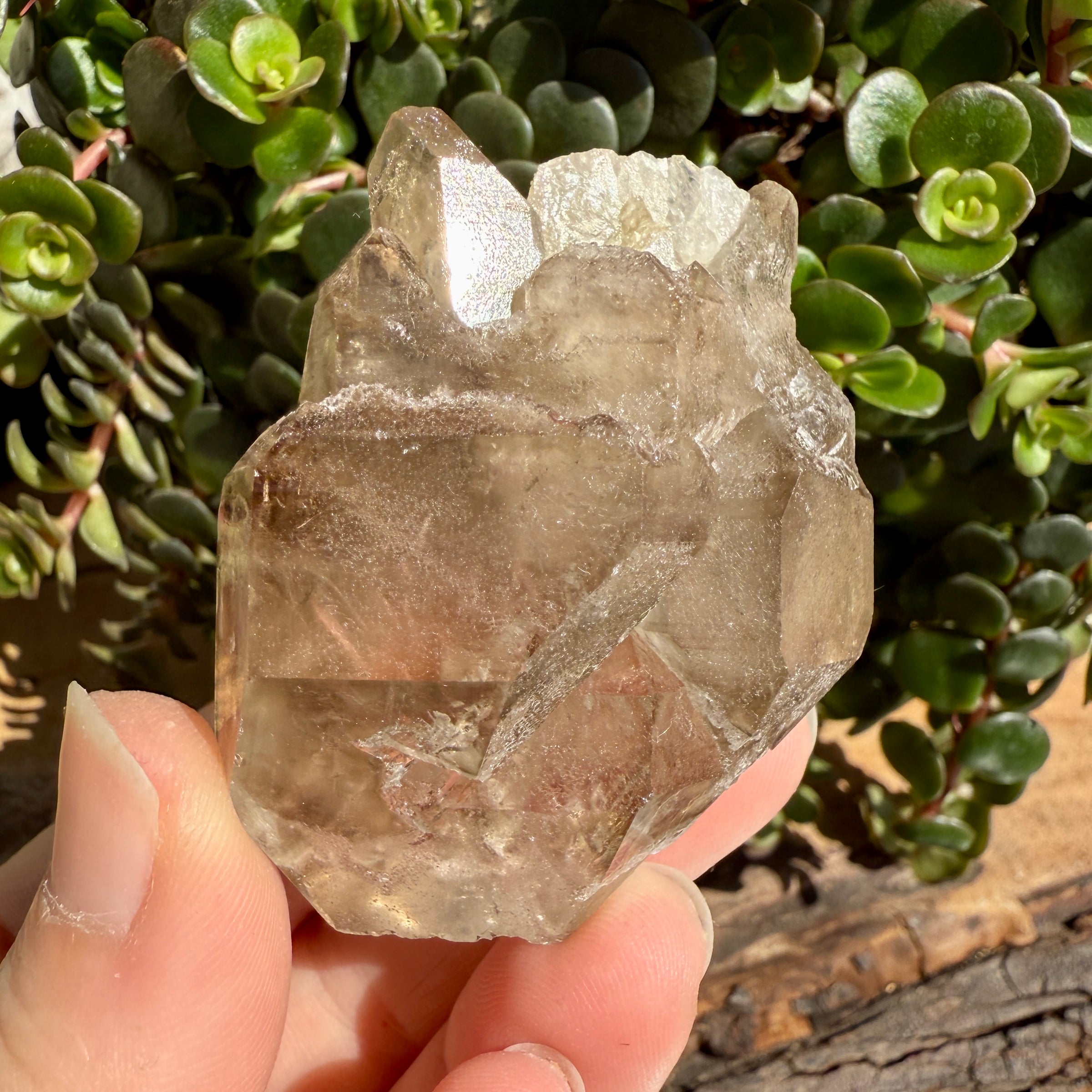 Elestial Smoky Quartz Crystal