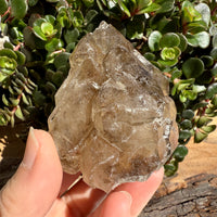 Elestial Smoky Quartz Crystal