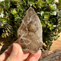 Elestial Smoky Quartz Crystal
