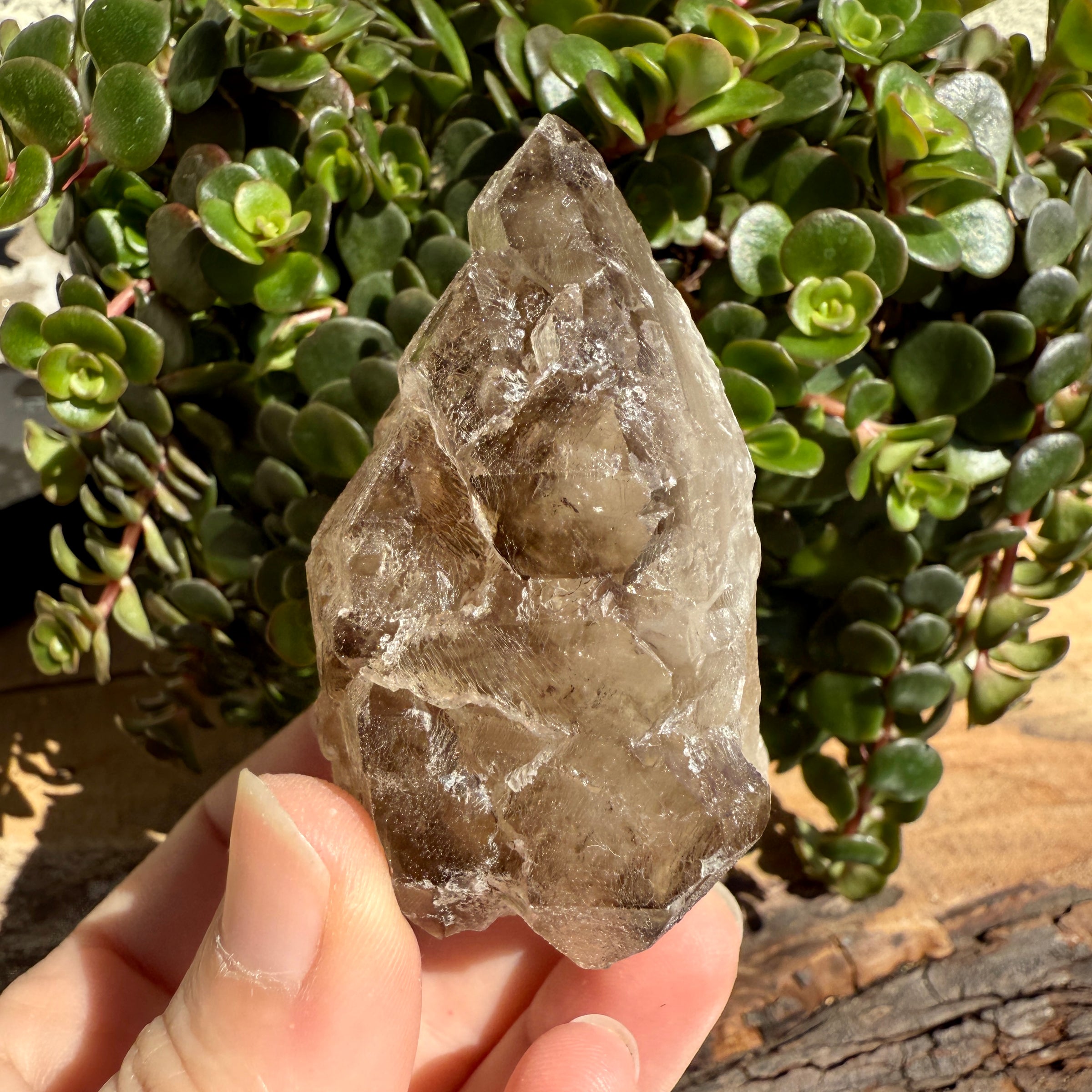Elestial Smoky Quartz Crystal