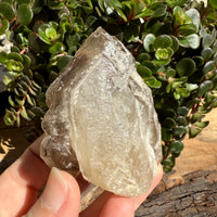 Elestial Smoky Quartz Crystal