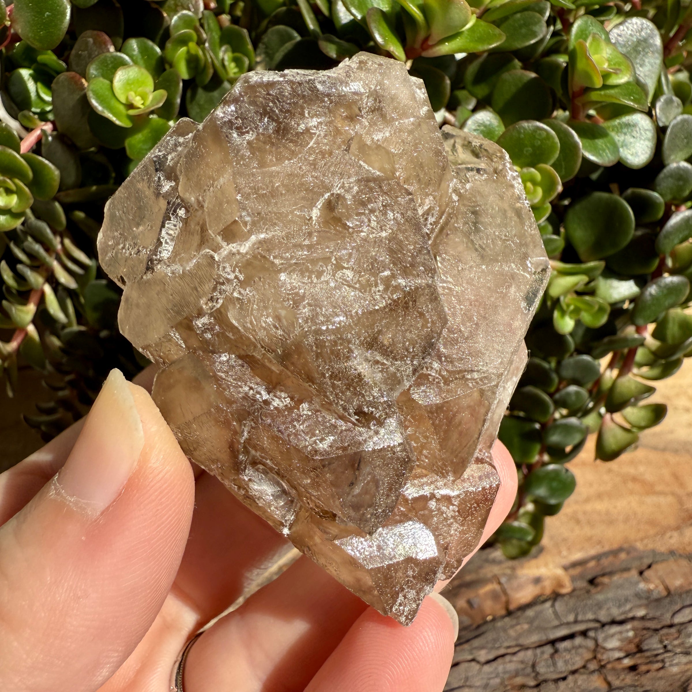 Elestial Smoky Quartz Crystal