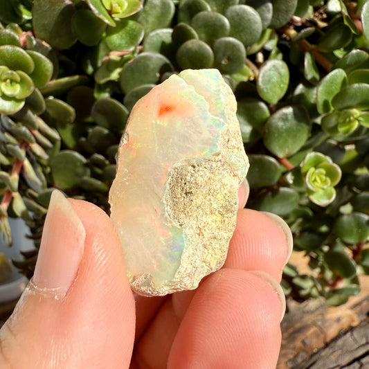 Opal - 39 Carats Natural Rough