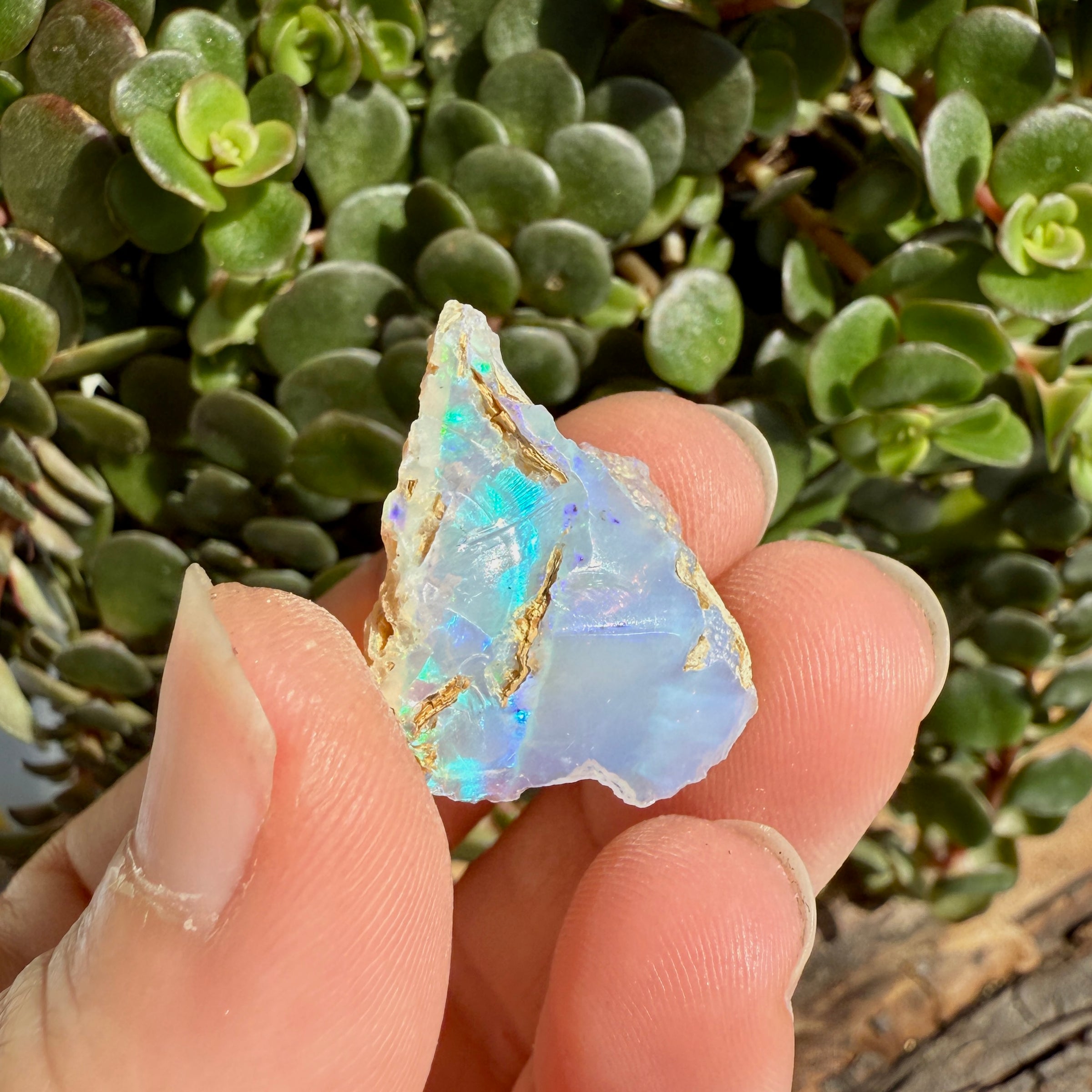 Opal - 12.5 Carats Natural Rough