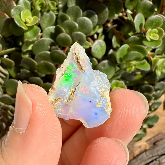 Opal - 12.5 Carats Natural Rough