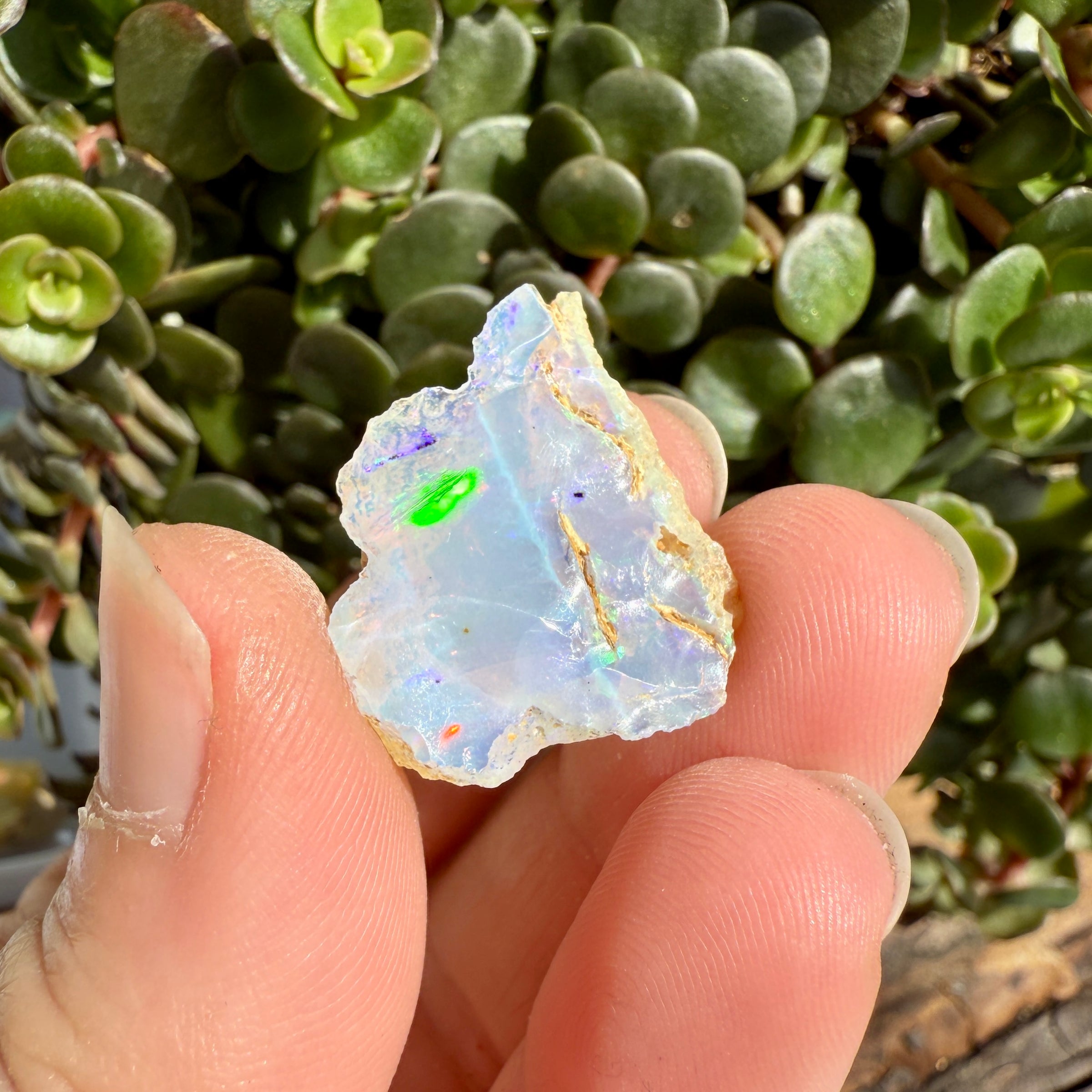 Opal - 12.5 Carats Natural Rough